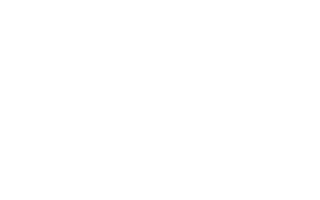 logo of ndpro as png