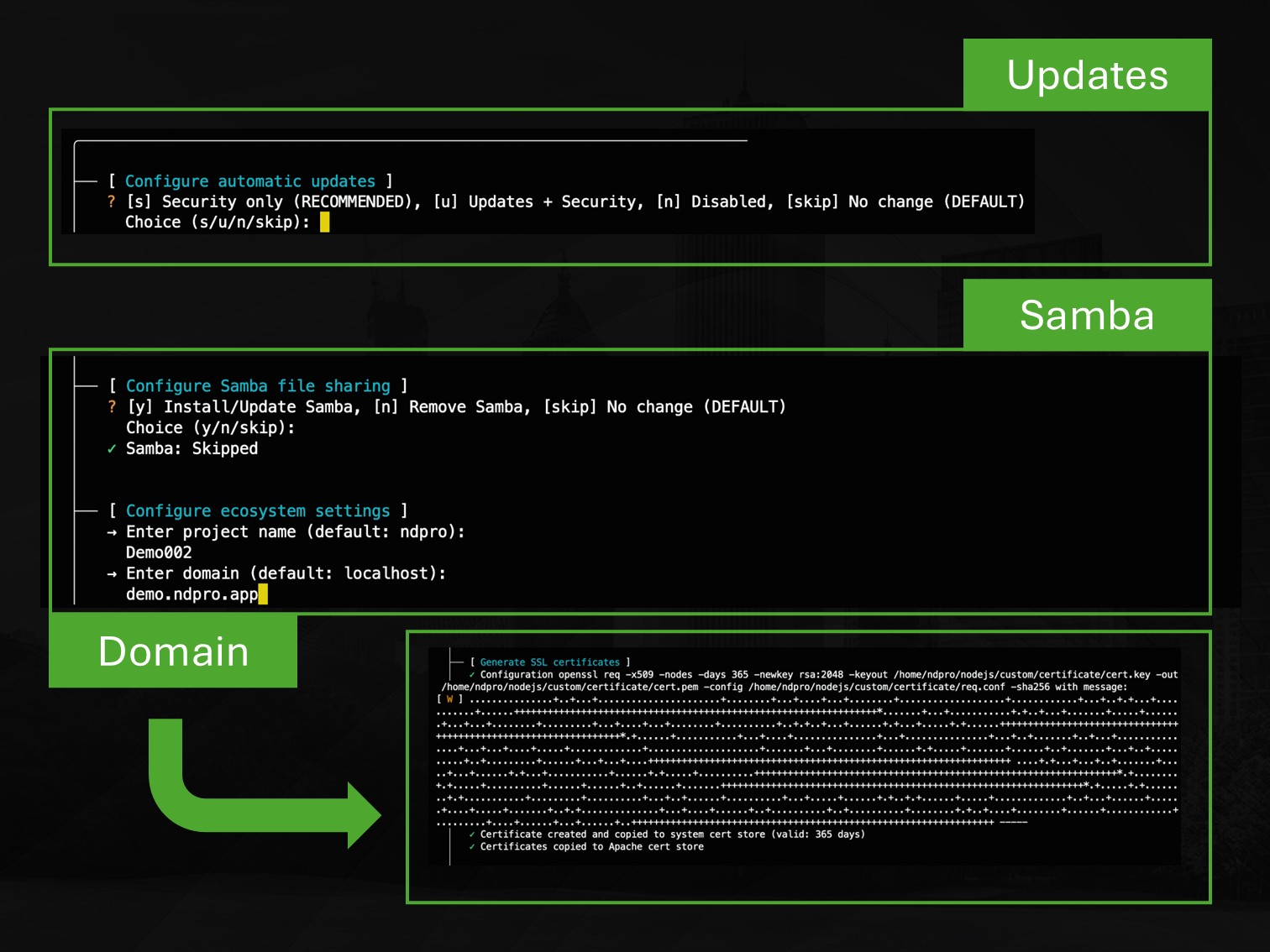 NDPro Installationsassistent mit Optionen für Updates, Samba und Domaineinstellungen.